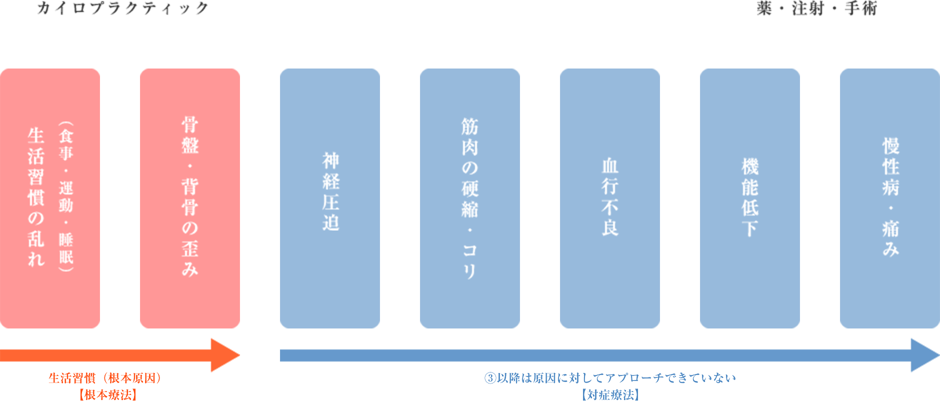 ①生活習慣の乱れ→②骨盤・背骨の歪み→③神経圧迫→④筋肉の硬縮・コリ→⑤血行不良→⑥機能低下→⑦慢性病・痛み